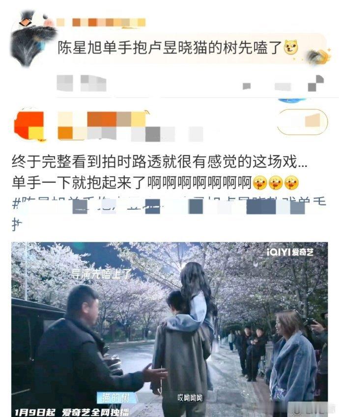 陈星旭单手抱卢昱晓猫的树先嗑 猫叔就是我本人！陈星旭单手抱卢昱晓的名场面，导演嗑