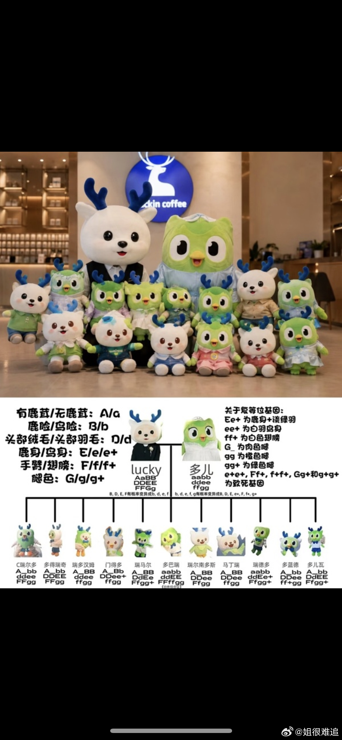 太震撼了 说是多邻国已经和瑞幸生了11胎了 