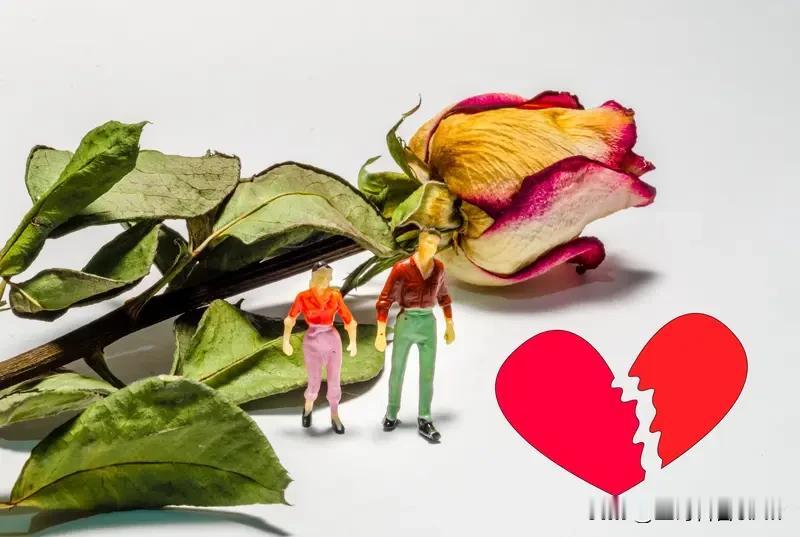 精神越界算婚姻出轨吗？我觉得算。婚姻是一种承诺，包含着情感的忠诚。精神越界意味着