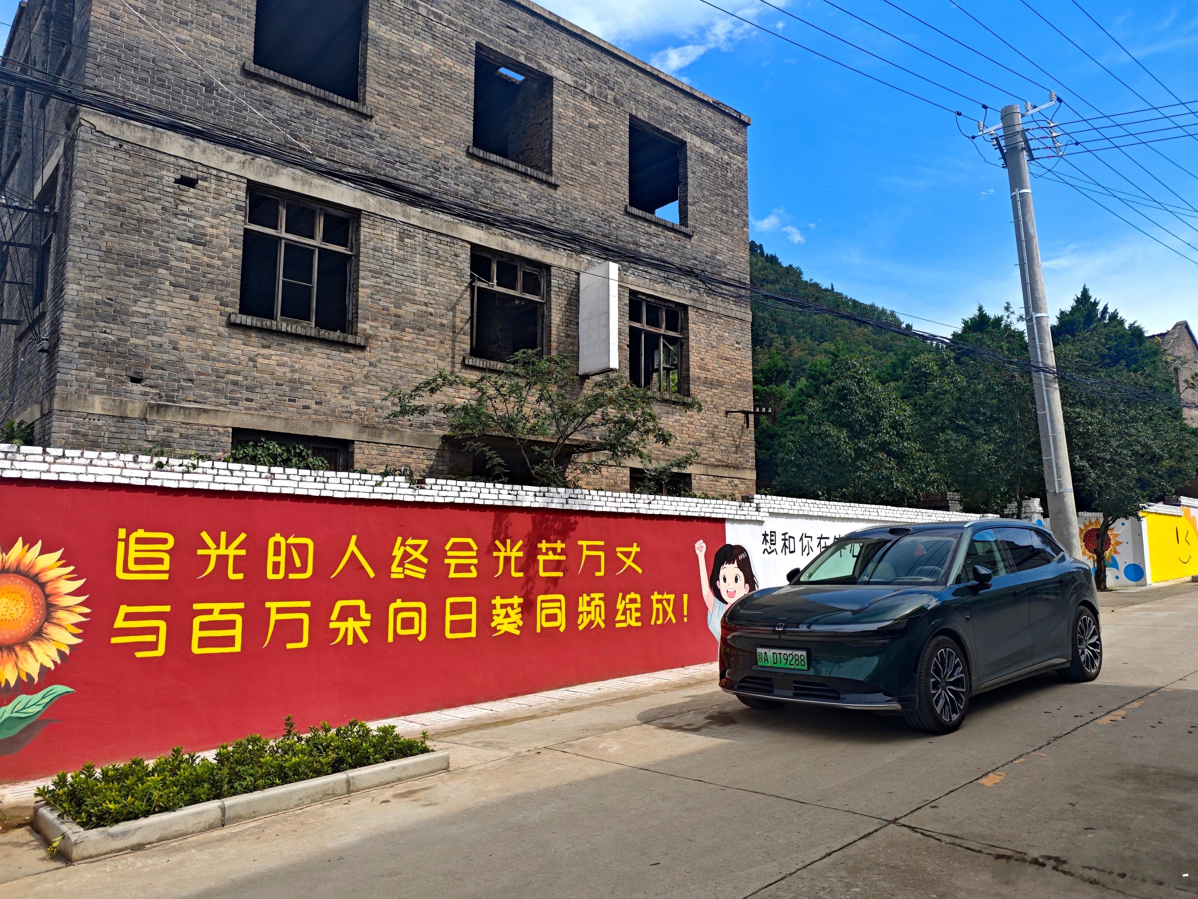 这么热的天气，就该去看向日葵🌻“追光的人终会光芒万丈与百万朵向日葵同频绽放” 
