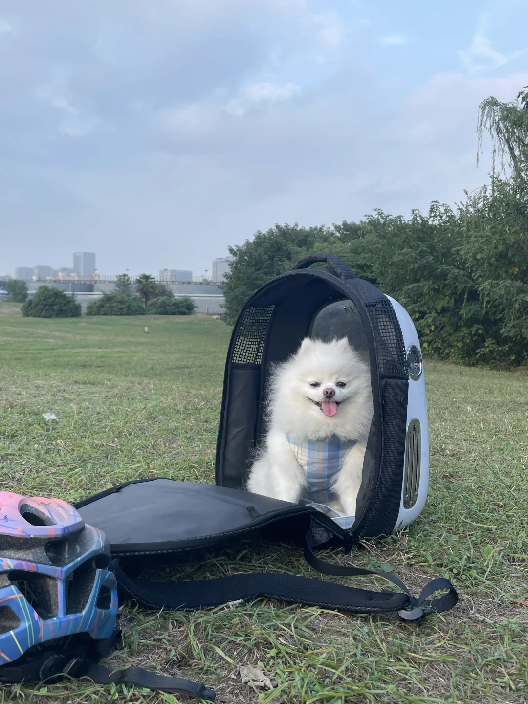 骑车带Minnie来公园潇洒一回