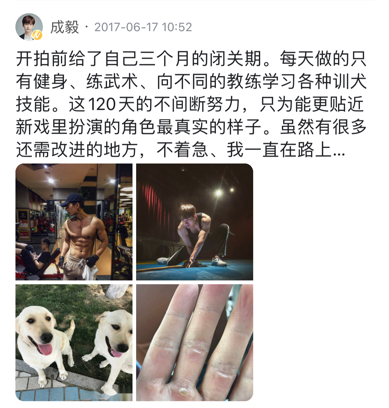 成毅为了一部作品，提前三个月训练，从体型，武术，格斗，训犬技能等…全方位的为角色