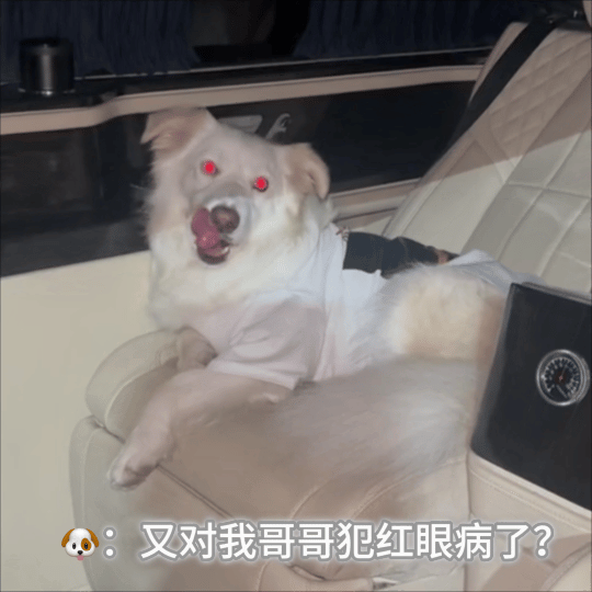 又对我哥哥犯红眼病了 ​​​