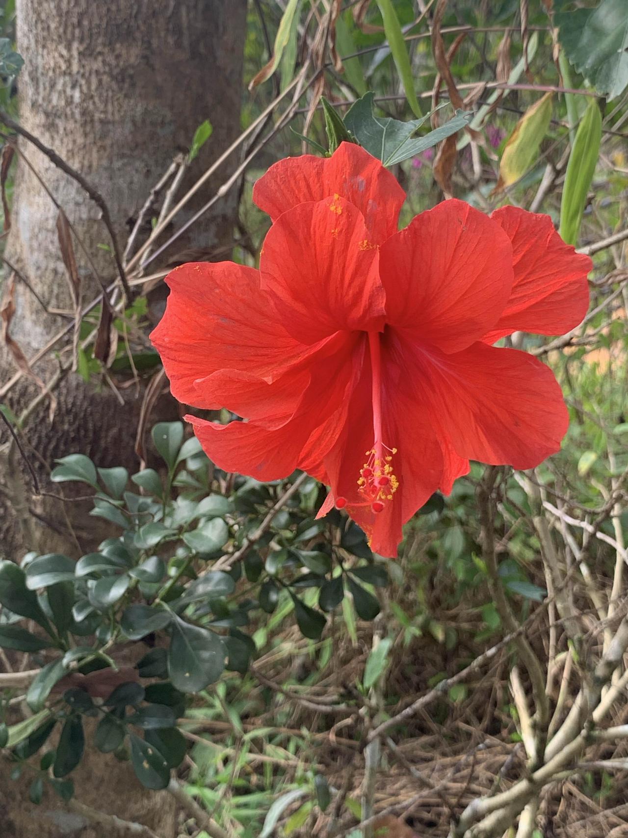 多看别人的作品好处可太多了。它能帮我们开阔视野，就像站在巨人肩膀上，看到不同的创