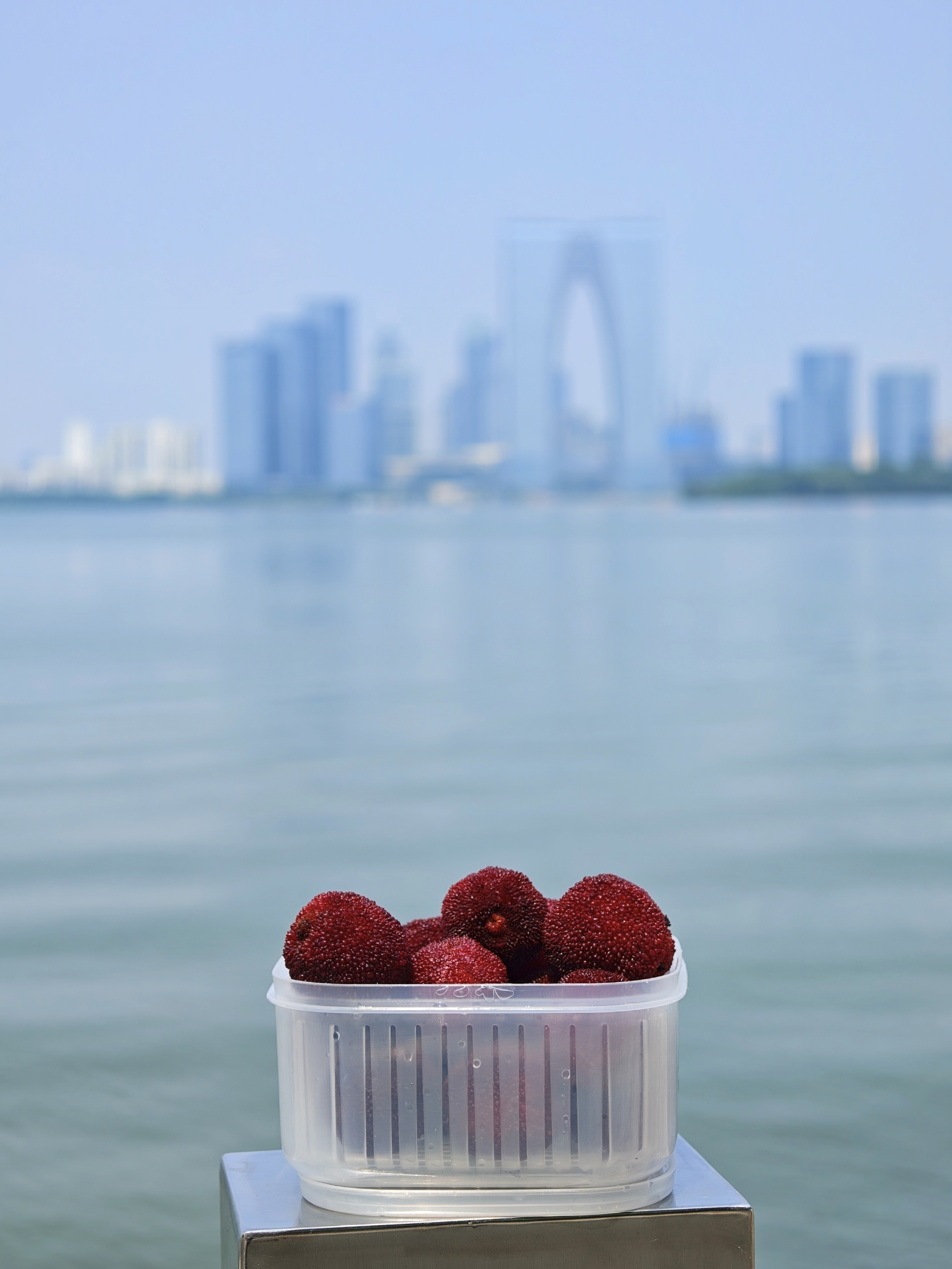 立帖为证:明年杨梅季的时候，弄点当天现摘的杨梅，在金鸡湖边找个地方，摆摊卖一下。