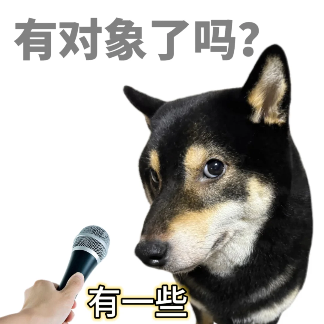 过年应付亲戚已读乱回😌