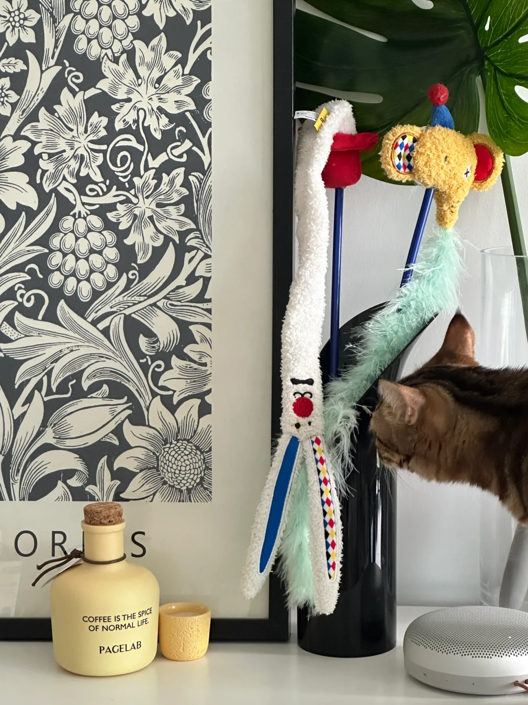 终于找到我家猫爱我也爱的逗猫棒了！