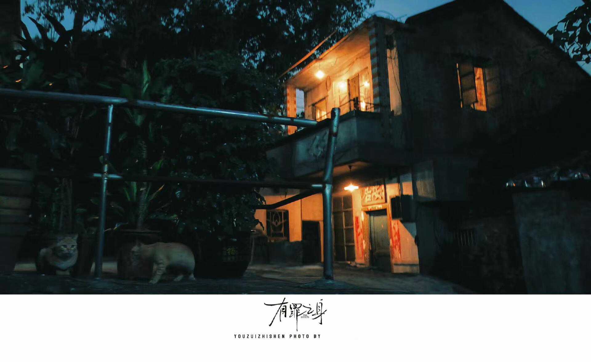 天啊，这不就是有罪之身陆鸣拍的两只橘猫么有罪之身  | 