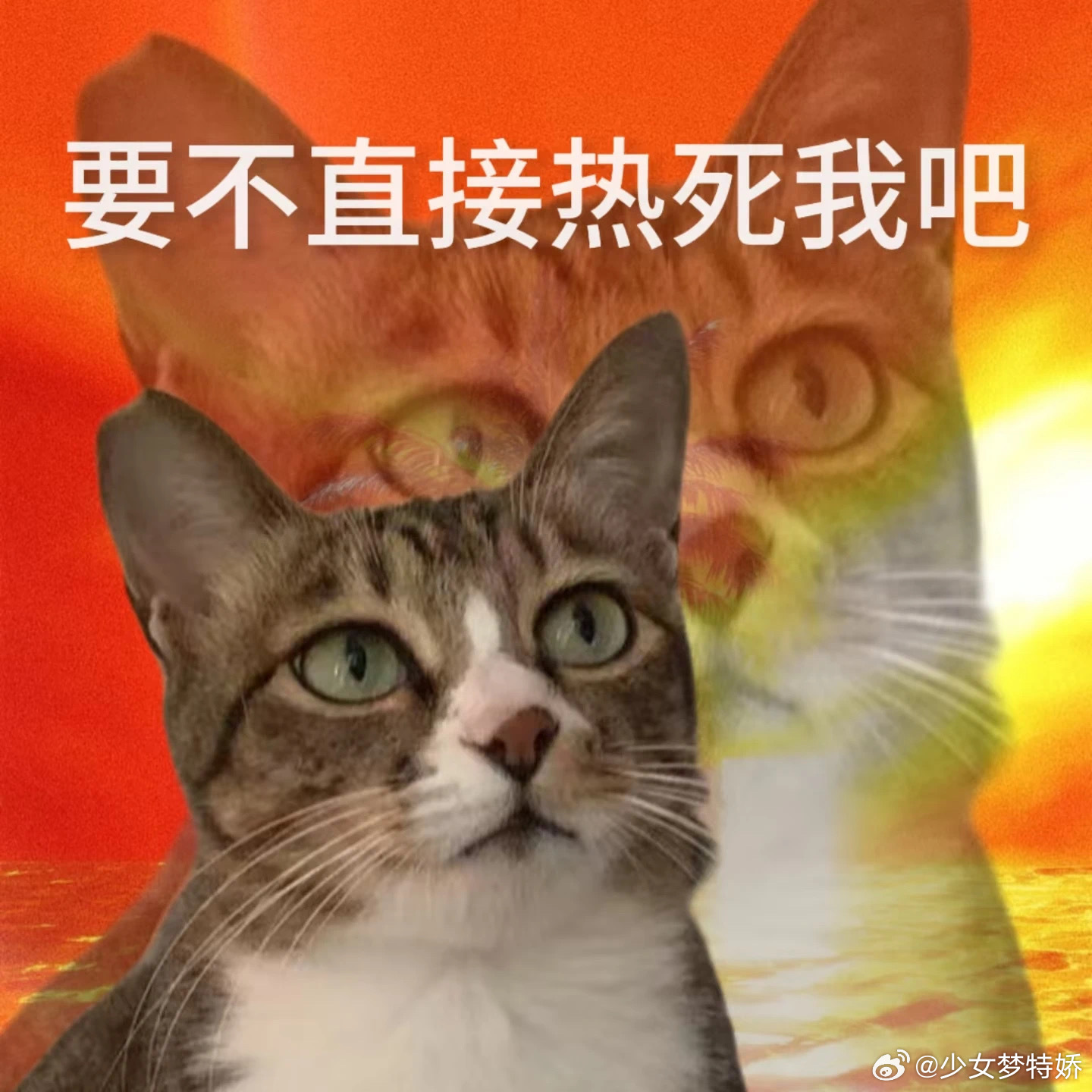 上班自备厕纸别说了，之前在一家小公司夏天开空调还得跟老板报备