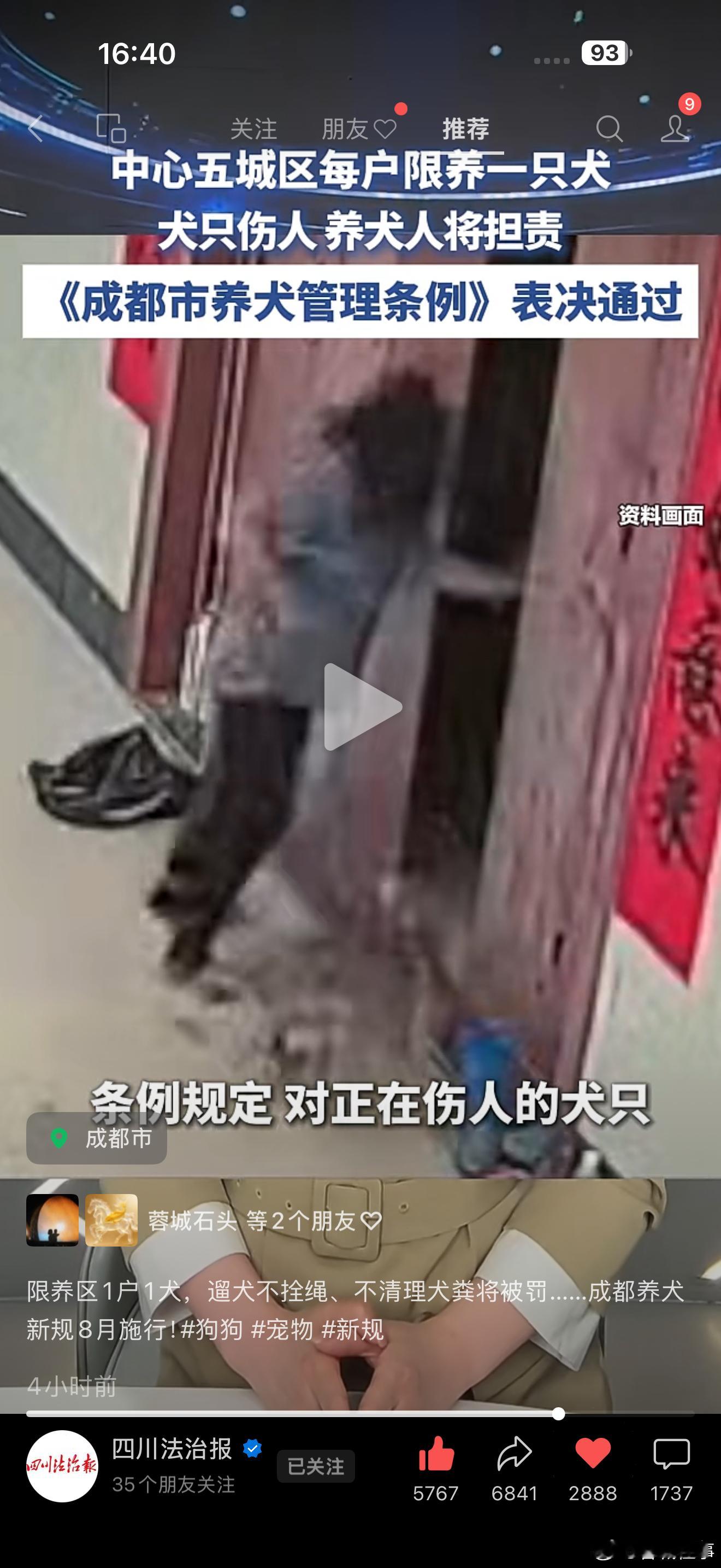 成都养犬人必看这个政策好，对于伤人的狗，任何人都可以处理……还有那些不清理便的，