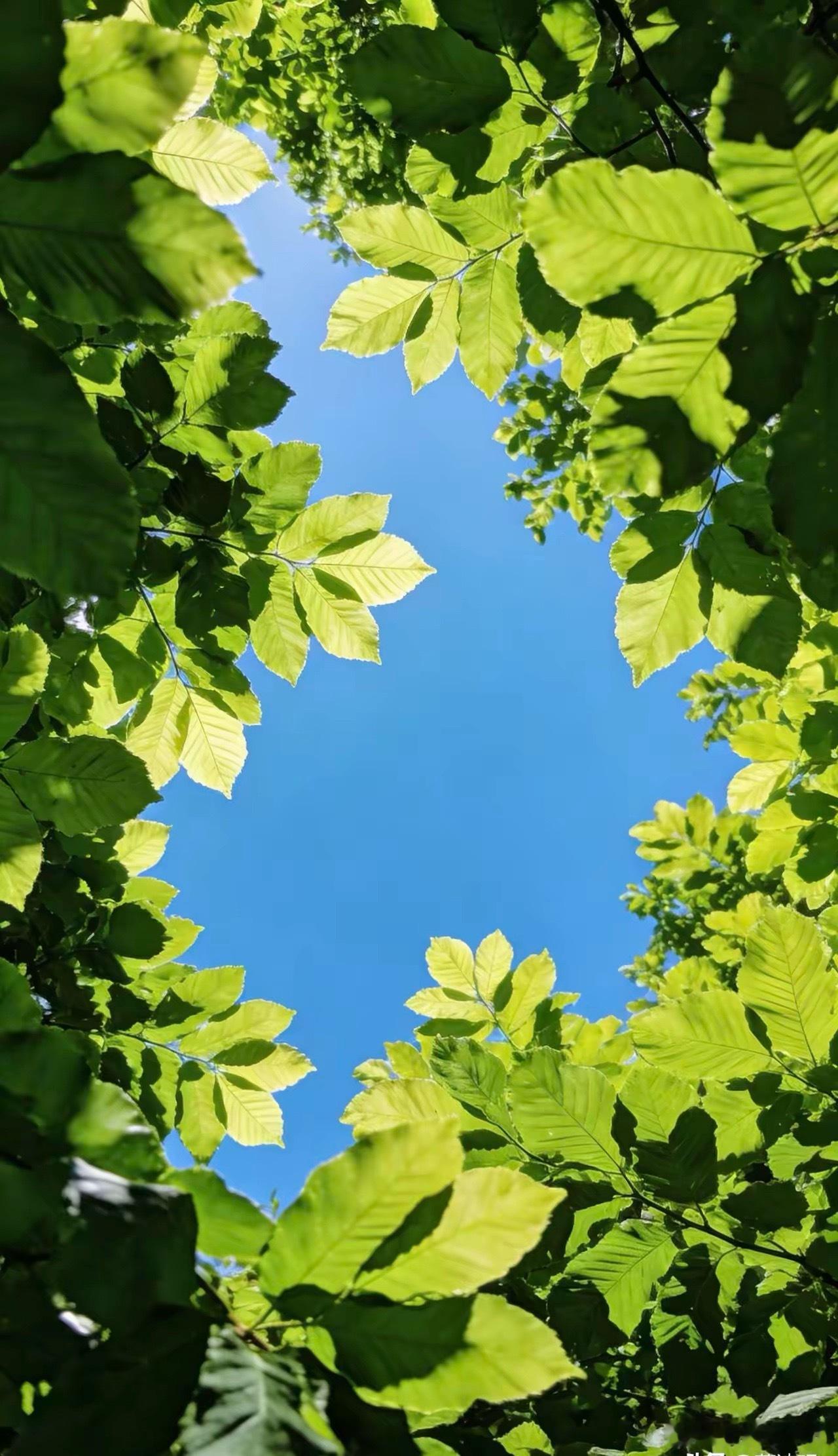 怎样才算活得通透？一、将身体健康放在第一位。二、少说别人，多管自己。三、听到难听