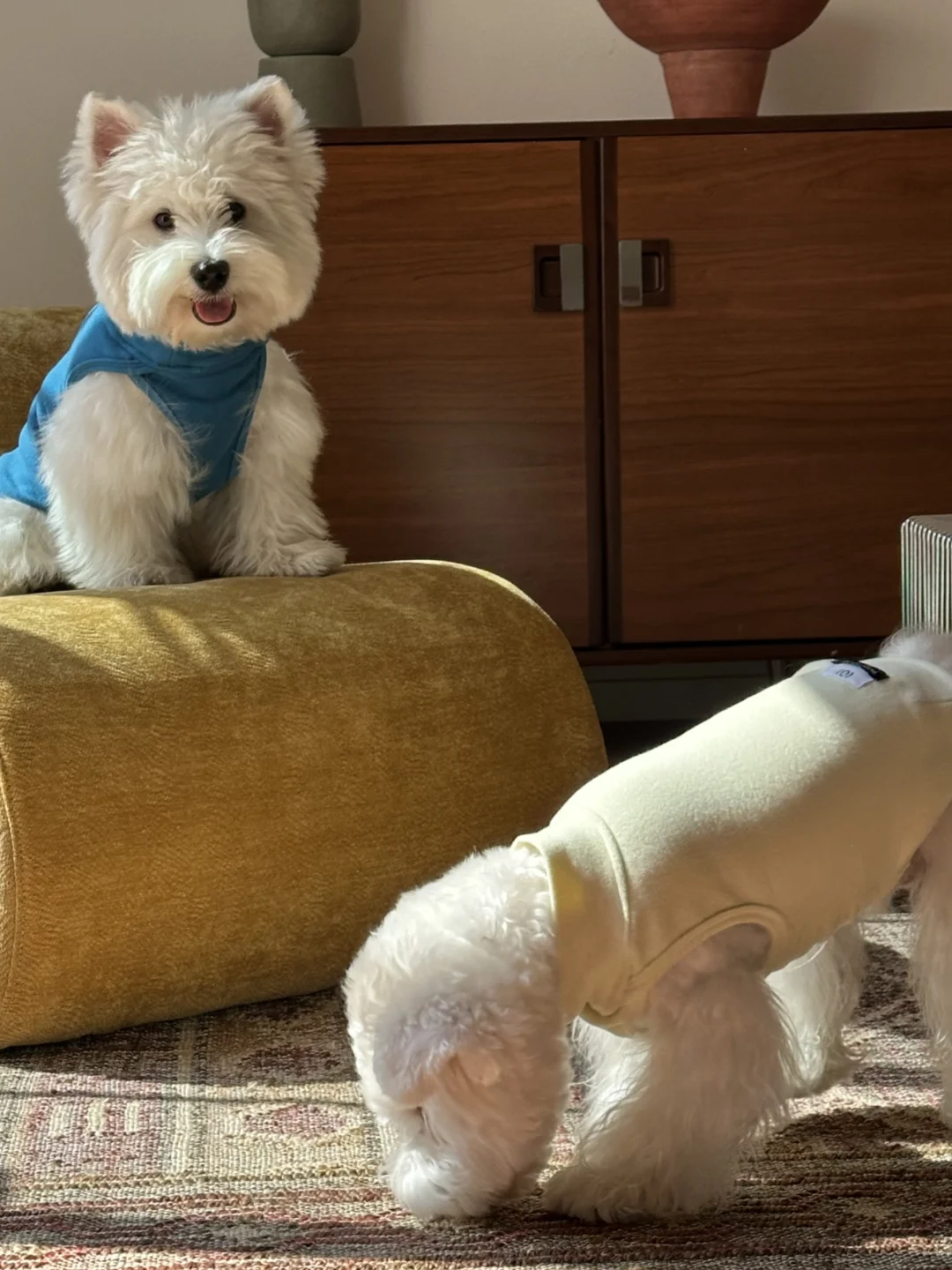 这也太适合春天啦！