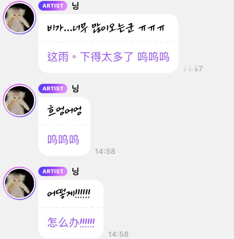 小猫树洞 250516🌧️下雨了😢 ​​​