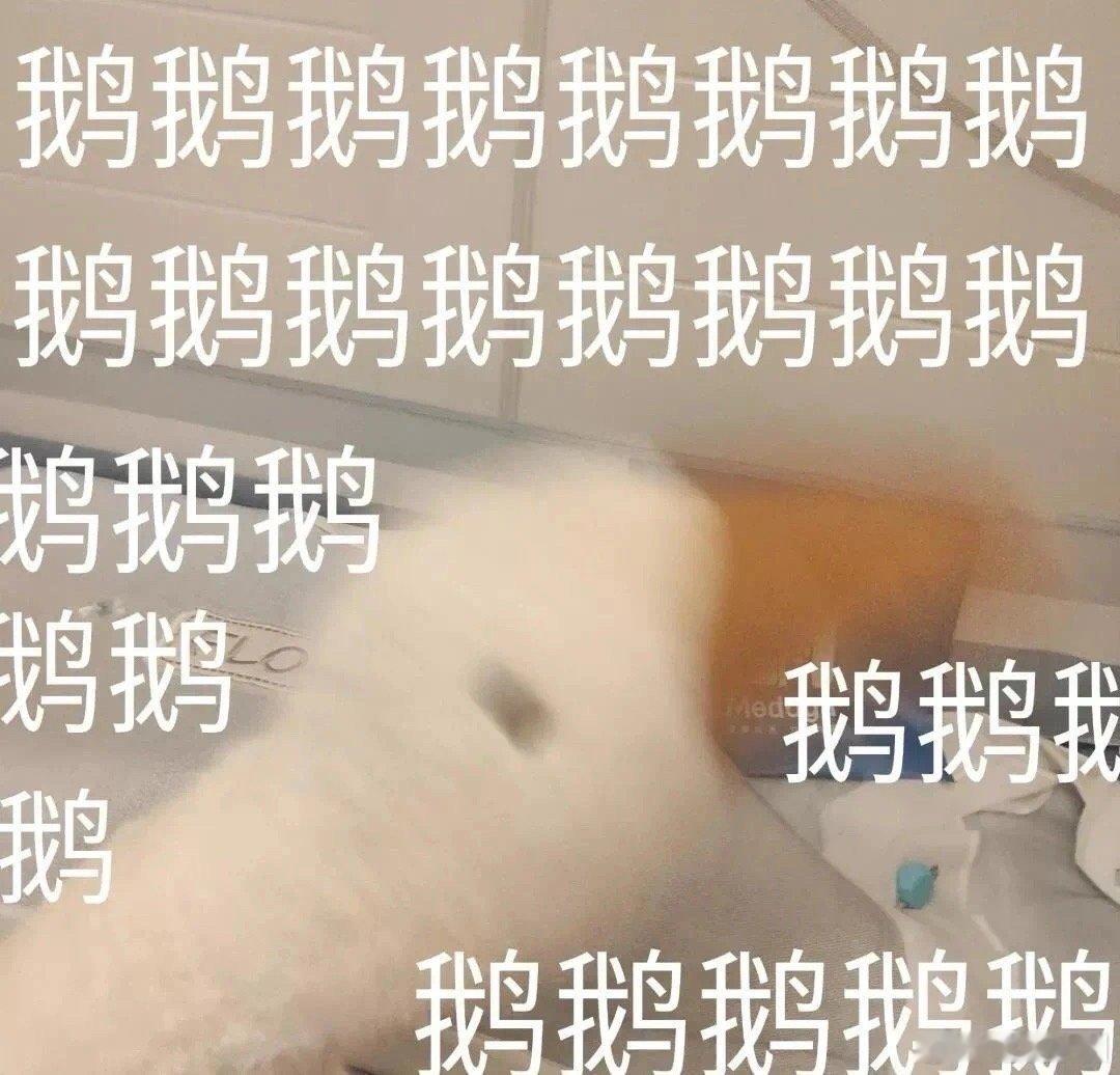 #学生拍毕业照一周收入上千元#这位同学真的打开了一种赚钱的新方式，他抓住了机会，