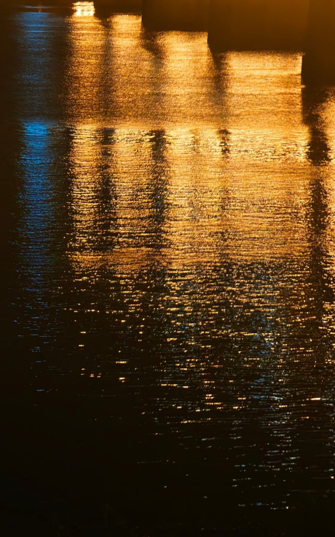 浮光掠金，太美了 