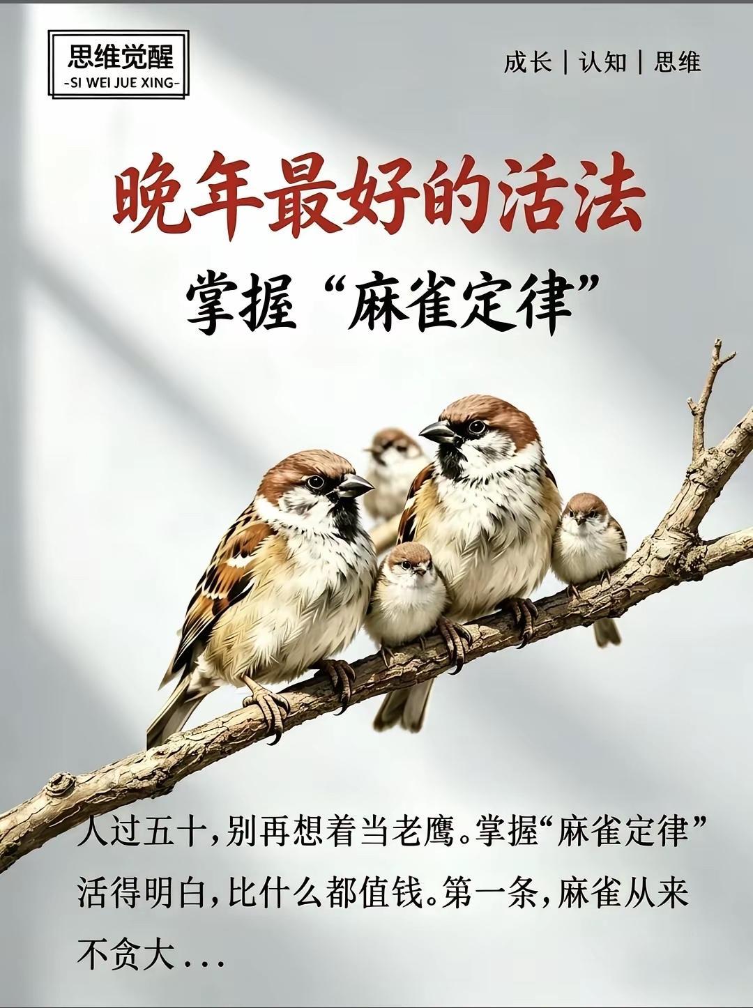 麻雀定律准不准