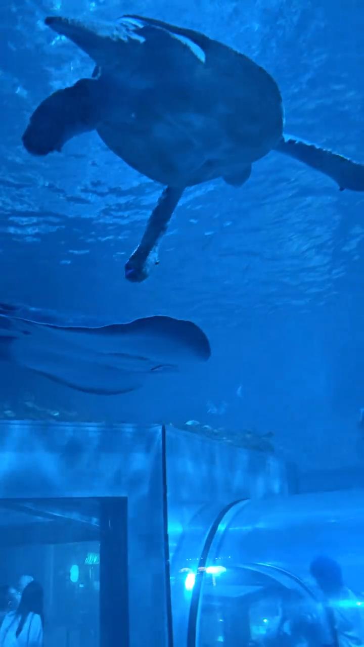 干嘛拍个人？吃完鱼。