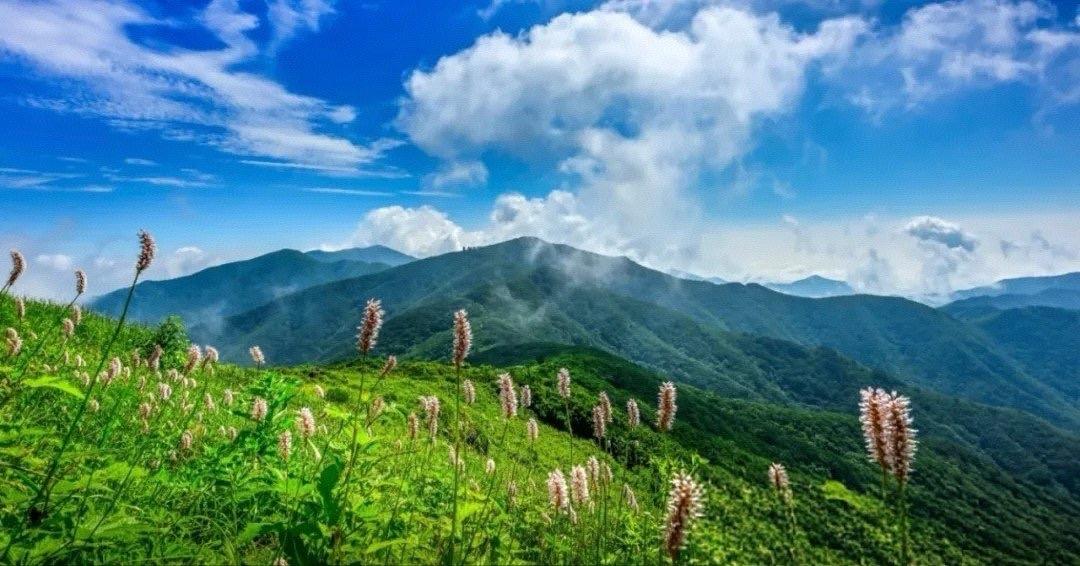 修心这件事，从来不需要什么花哨的形式。 每天抽十分钟，把手机放下，安安静静坐一会