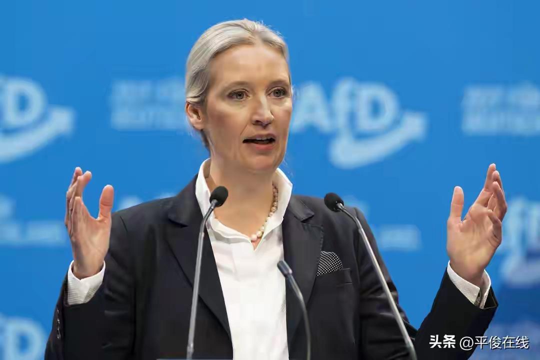 萨安州44%的选票还没凉透，魏德尔已经喊话要提前举行联邦大选了。9月7日记者会上