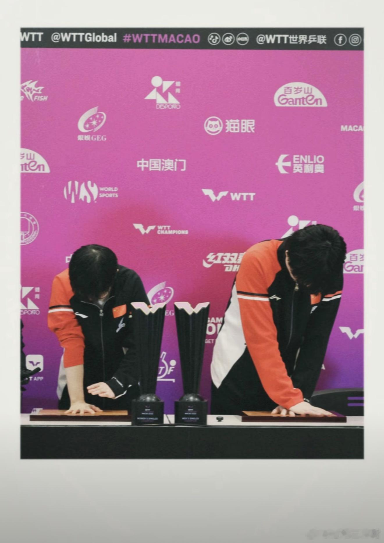 2017：初遇·少年首冠2018  :  崭露头角·洲际称王2019-2020 