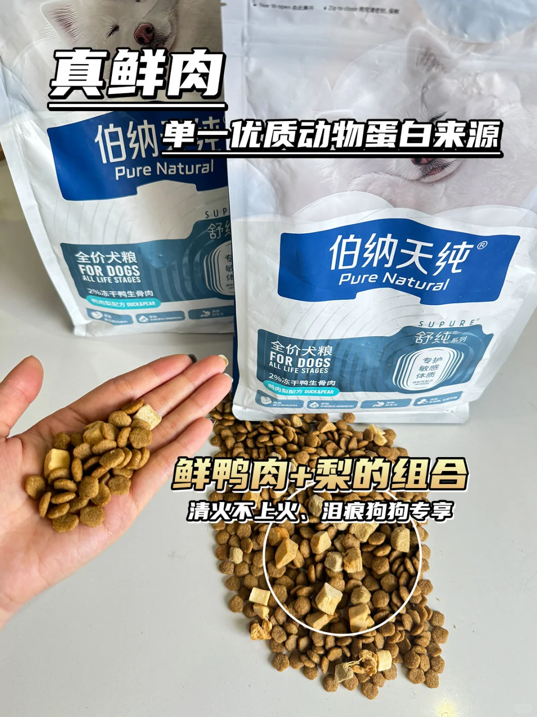 国产鸭肉梨狗粮真的卷！仅伯纳天纯去泪痕！