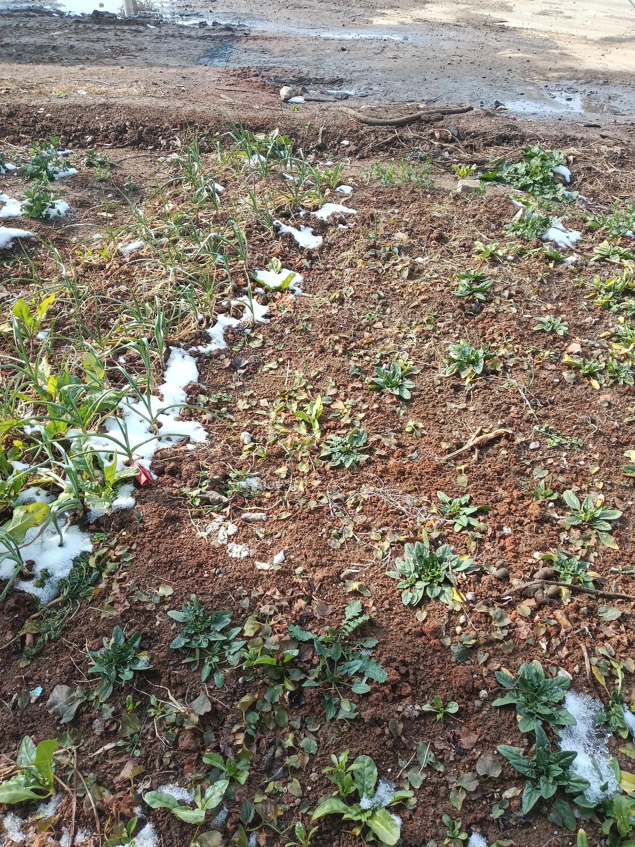 这一场大暴雨，农民靠天吃饭，工人靠钱吃饭。
遇见灾难，又靠什么来吃饭，农民庄稼受