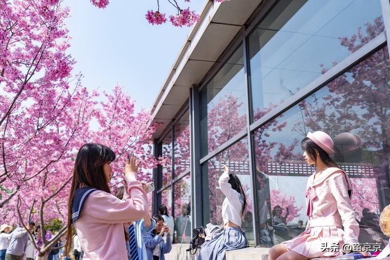 路边的花都开得好好的，看着心情一下子就亮了。
 
不用急着赶路，不用想太多，
就