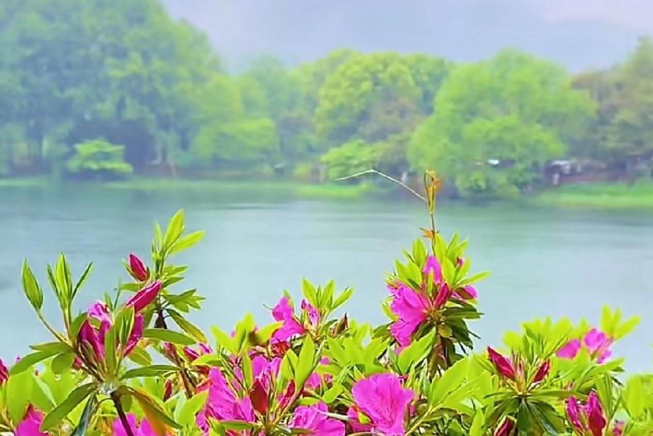 被这段话治愈了，如果今生不能做你的枕边人，那我也只能在心里陪你到老。

其实我们