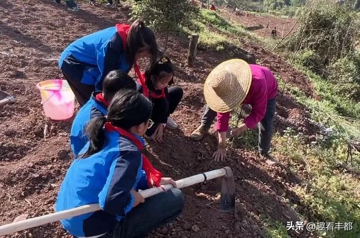 春染丰都！全员植树添新绿，共绘生态好画卷🌱
春回大地，万物生长，最是一年春光好