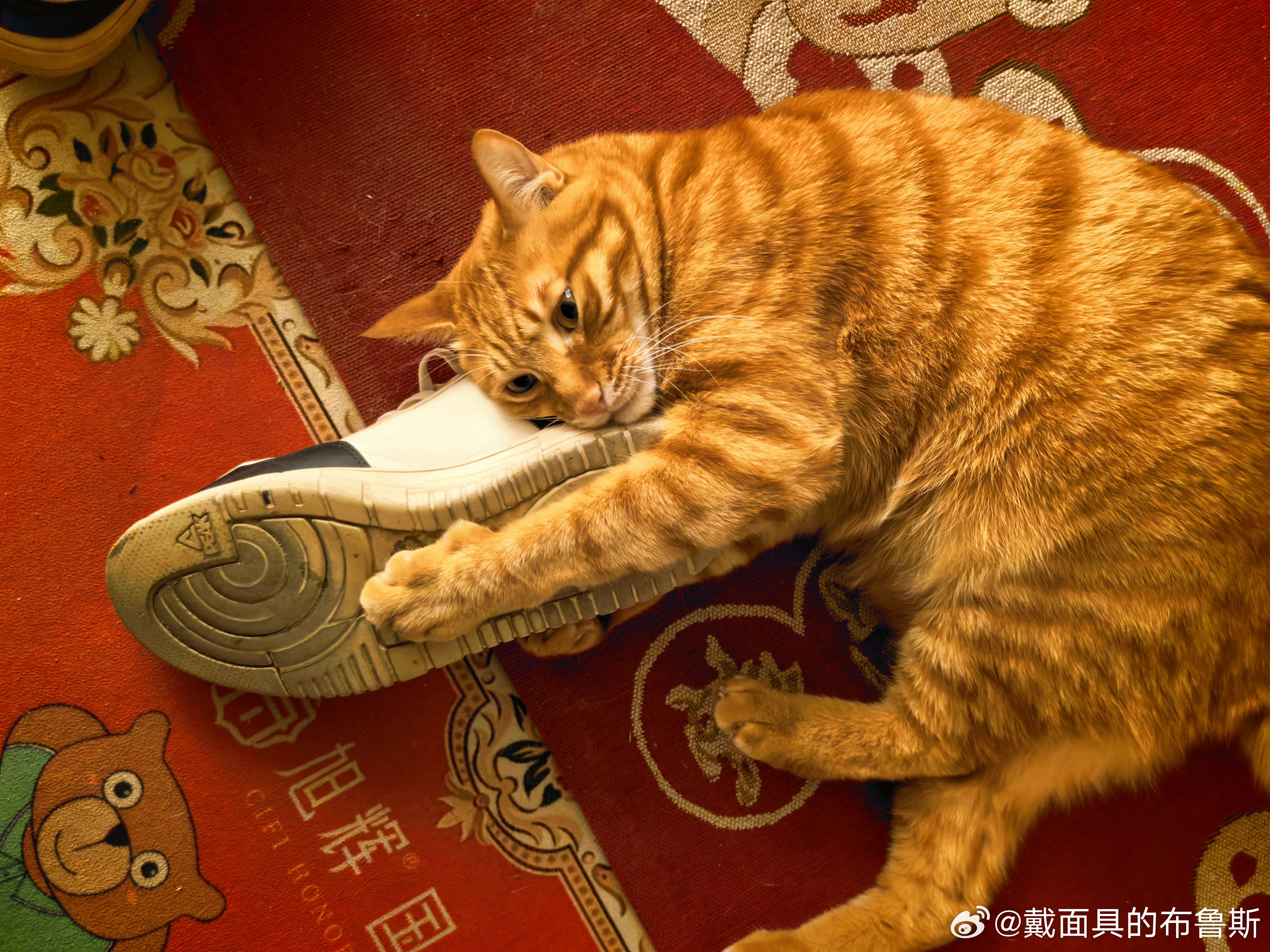 哆米这样多少有点谄媚了，好像在演那种舍不得我的感觉