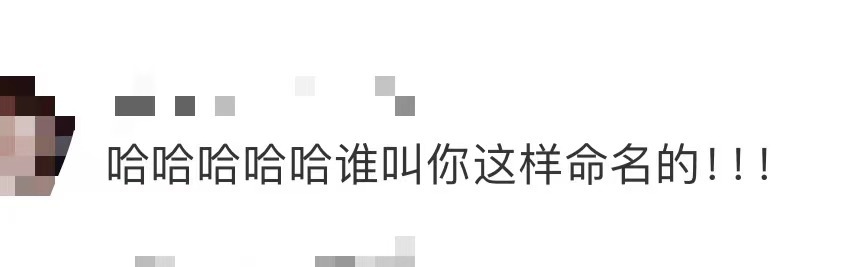 #私藏浪漫谁教你这样命名的#哈哈哈哈哈看的演职员表的时候真的笑到不行，钻石男下头