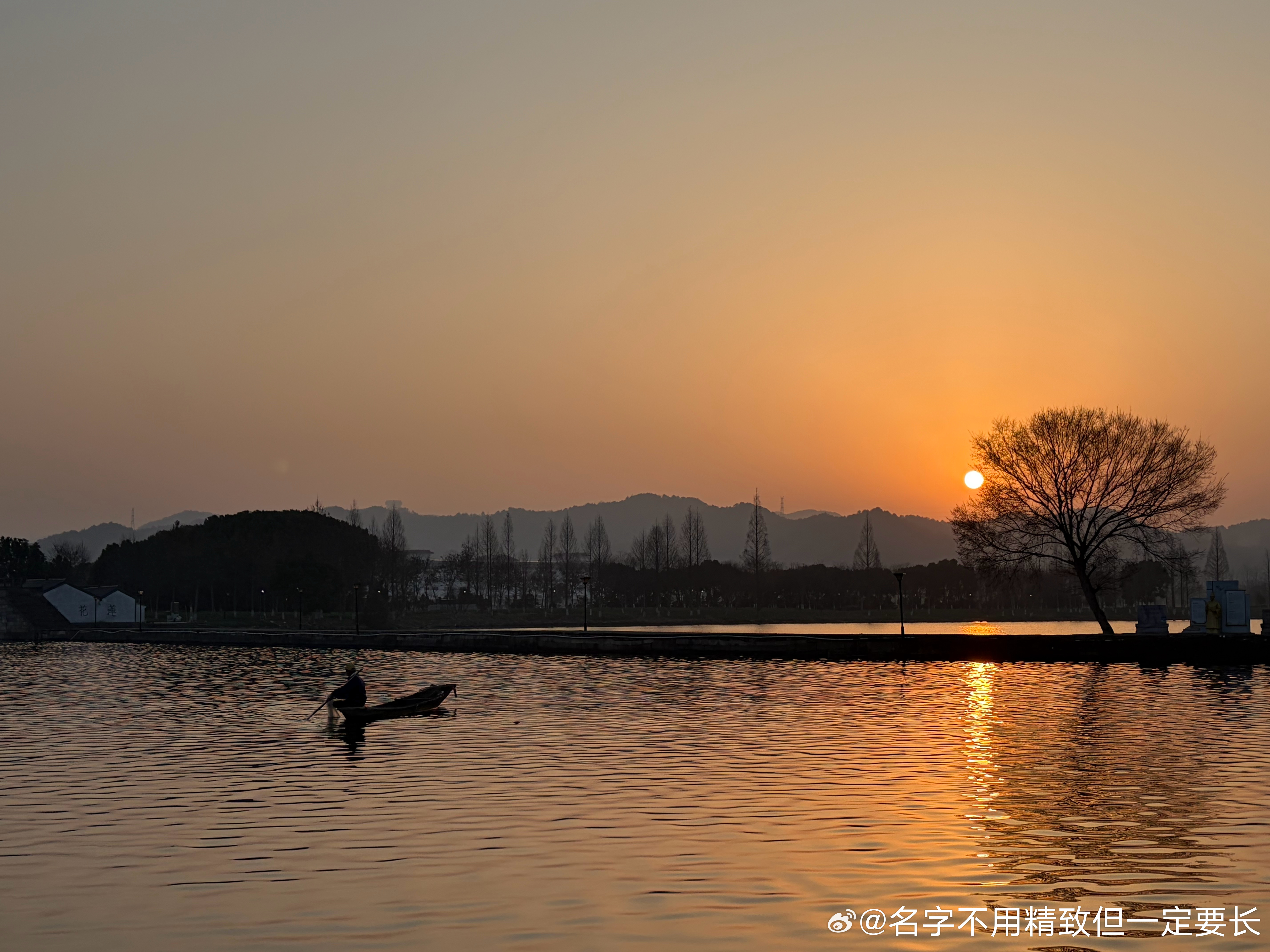 分享图片 