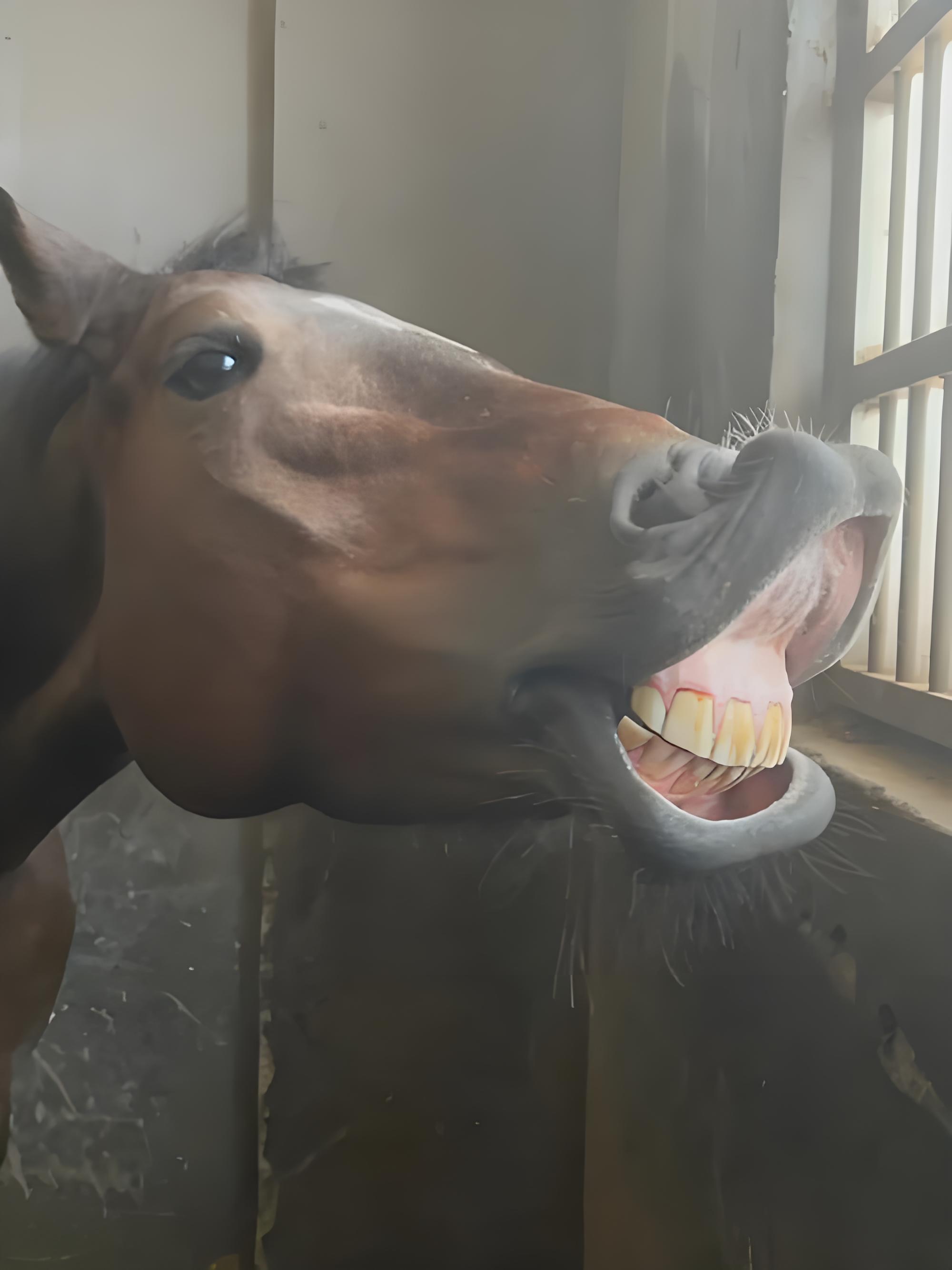 咋天天叫人做医美？你爹又不是长个🐴样，需要做吗？[无聊] ​​​
