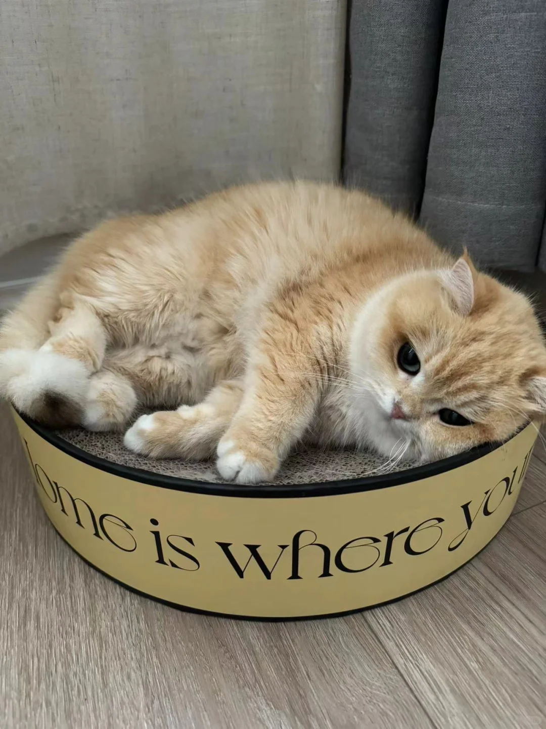 打架输了