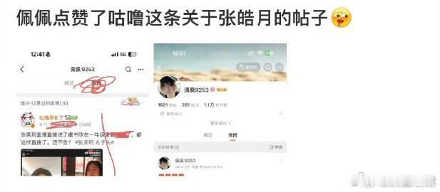 念相思造型师关闭账号《念相思》风波再添一桩，造型师佩佩点赞虞书欣、张昊玥相关博文