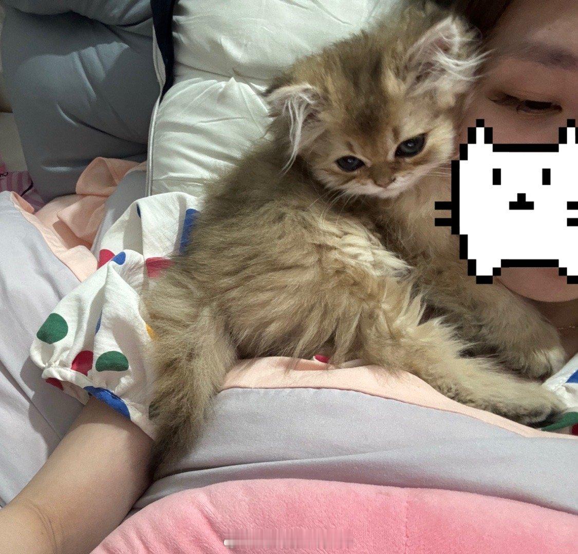 两小只太可爱咯 ​​​