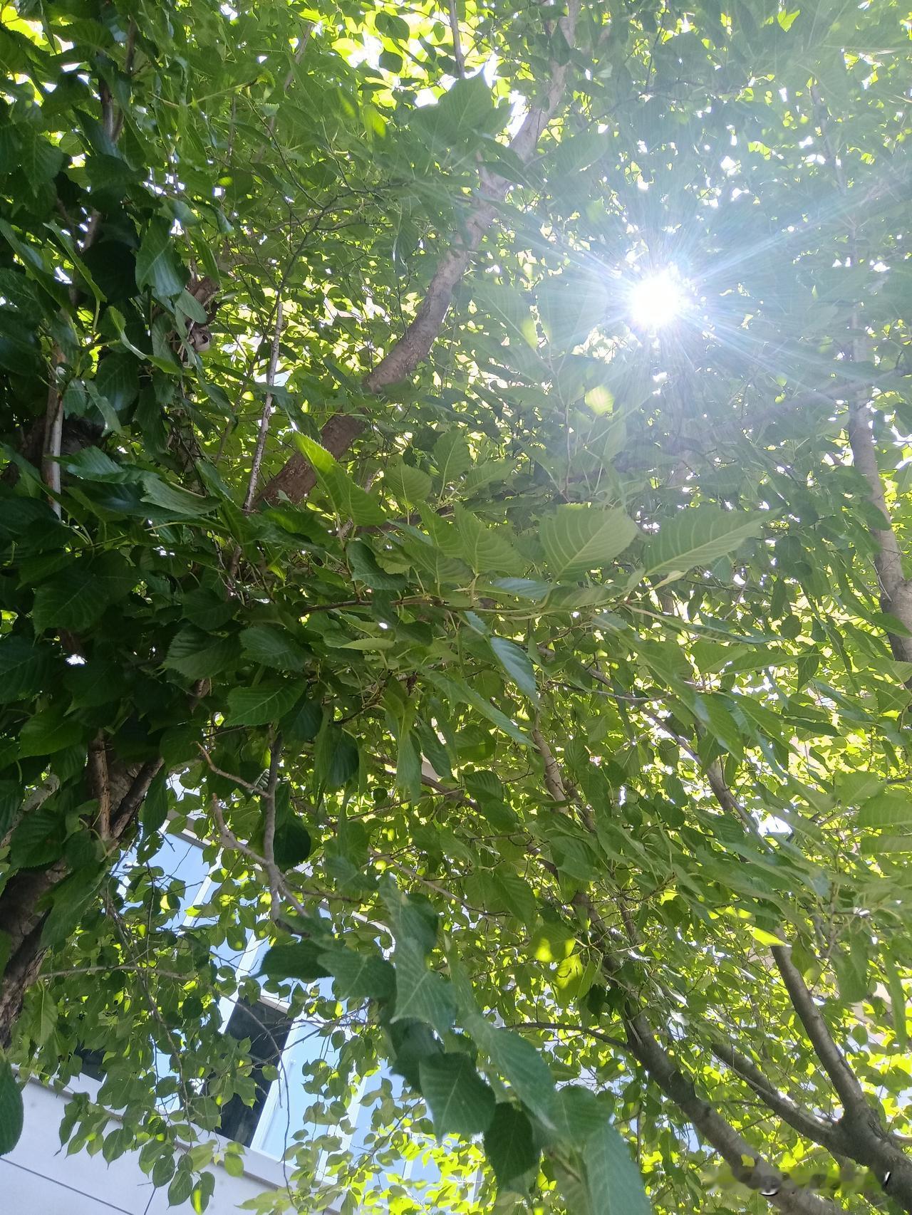 心痛！

今天超市买点肉，花了80块钱！竟然有些心疼！

然而，今天股市天天亏。