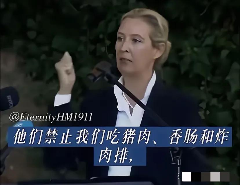 德国真的彻底怒了！


铁娘子魏德尔公开炮轰中东移民了！中东移民也是拎不清！自己