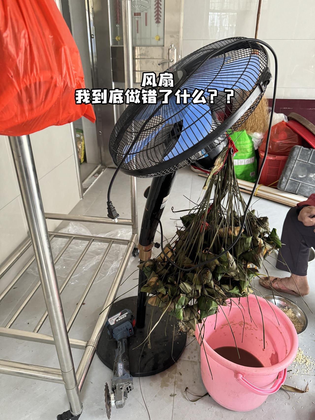 为了吃上今年的第一个粽子，我们家的风扇承受了所有的重量粽子 包粽子