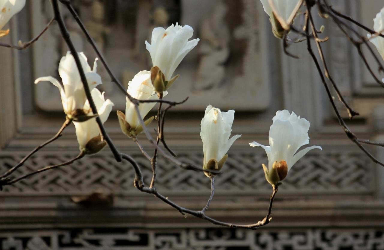 与人交往，贵在真心，也贵在有骨气。你看不起我，我绝不低头高攀；你看得起我，我必以