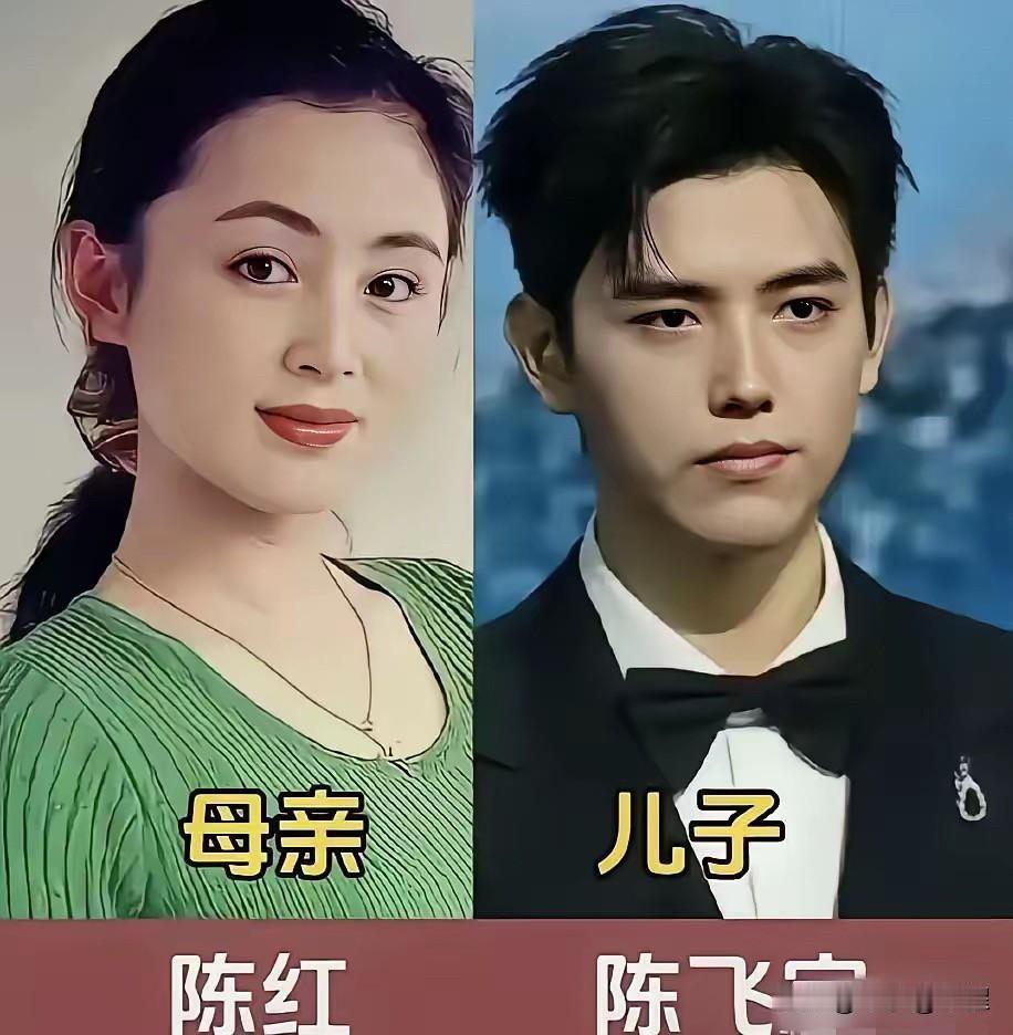 演艺圈里有不少母子双双投身表演的家庭，母亲早已是圈内家喻户晓的实力派，儿子也踏入
