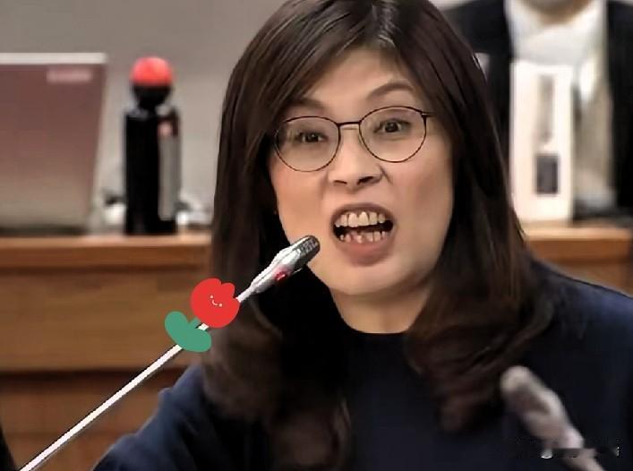 郑丽文：坚持一个东方大国原则，反对“”，促进两岸和平发展国民党主席郑丽文日前接受