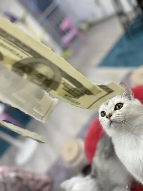 从零到一搞钱思路，完整流程，一步一步教你，照抄就能做
 
很多人想搞钱，却不知道