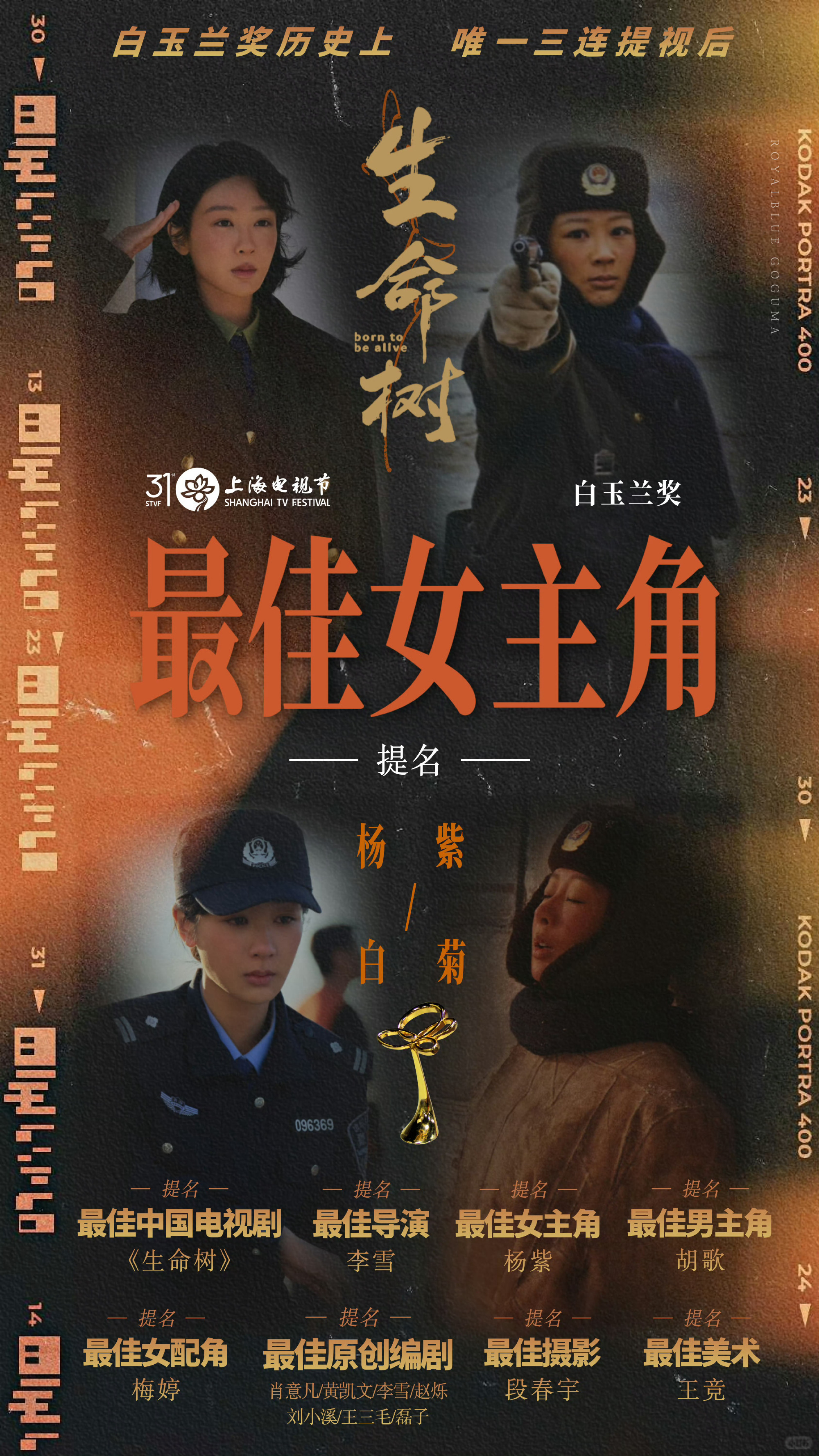 杨紫下一站白玉兰 会有那样的一天，你活成了你最想要的样子，过去所有的伤痕都变成了