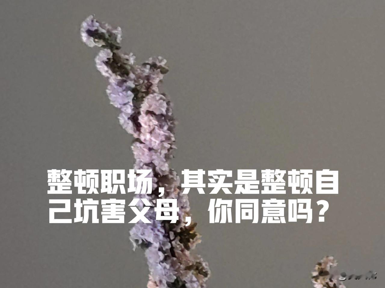 整顿职场的实质，是整顿自己，坑害父母，你同意吗？

我们经常听到关于年轻一代，尤