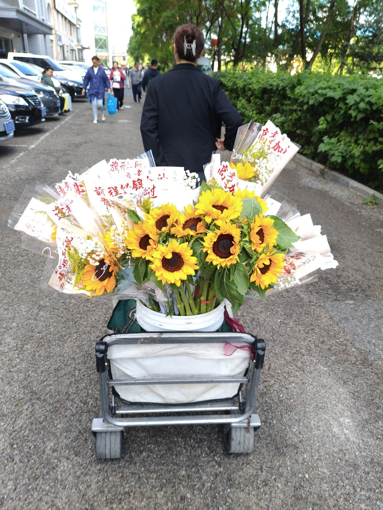 大清早这小妹就拉满鲜花和祝福奔赴考场了！高考的学子们，好好答题呦！同时也要记住这