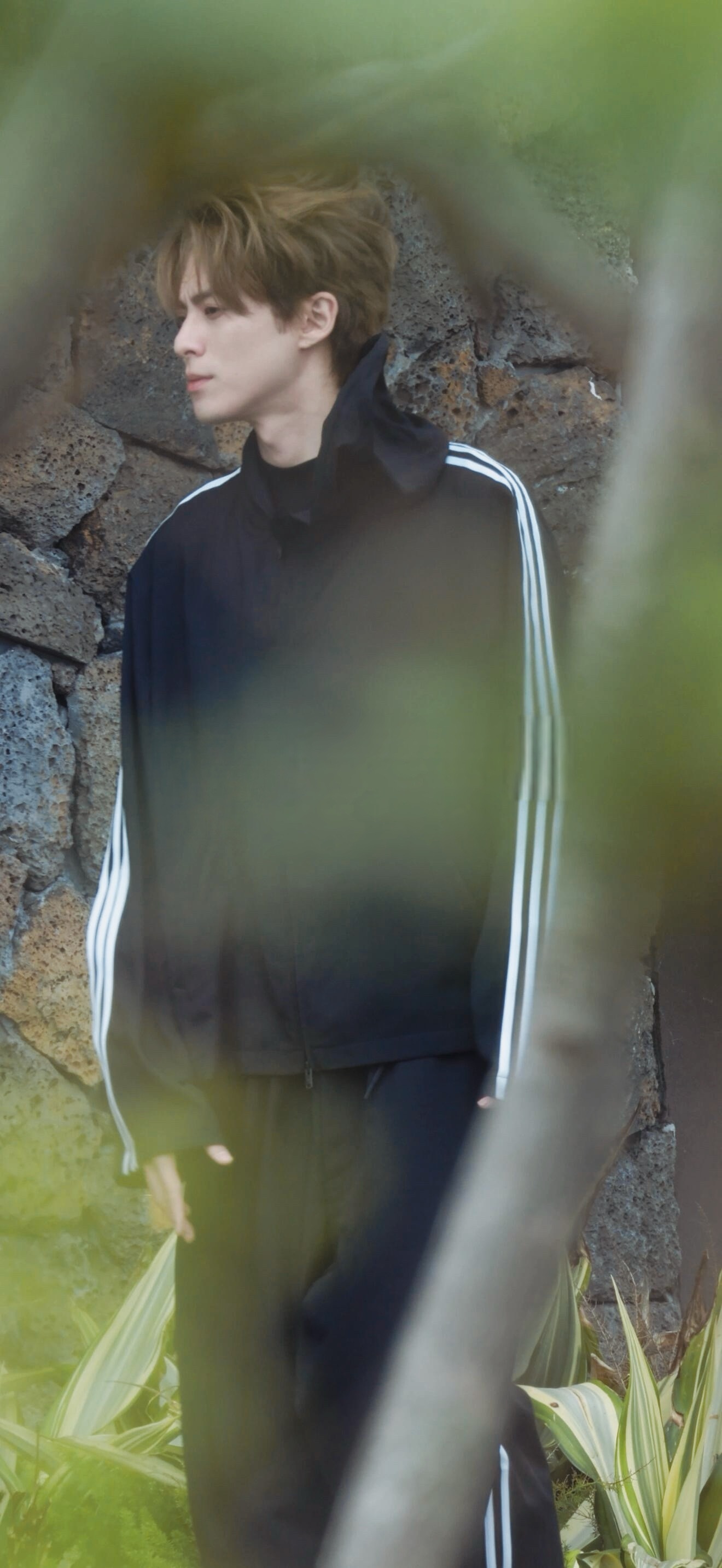 独自帅气 王鹤棣亲爱的客栈2026