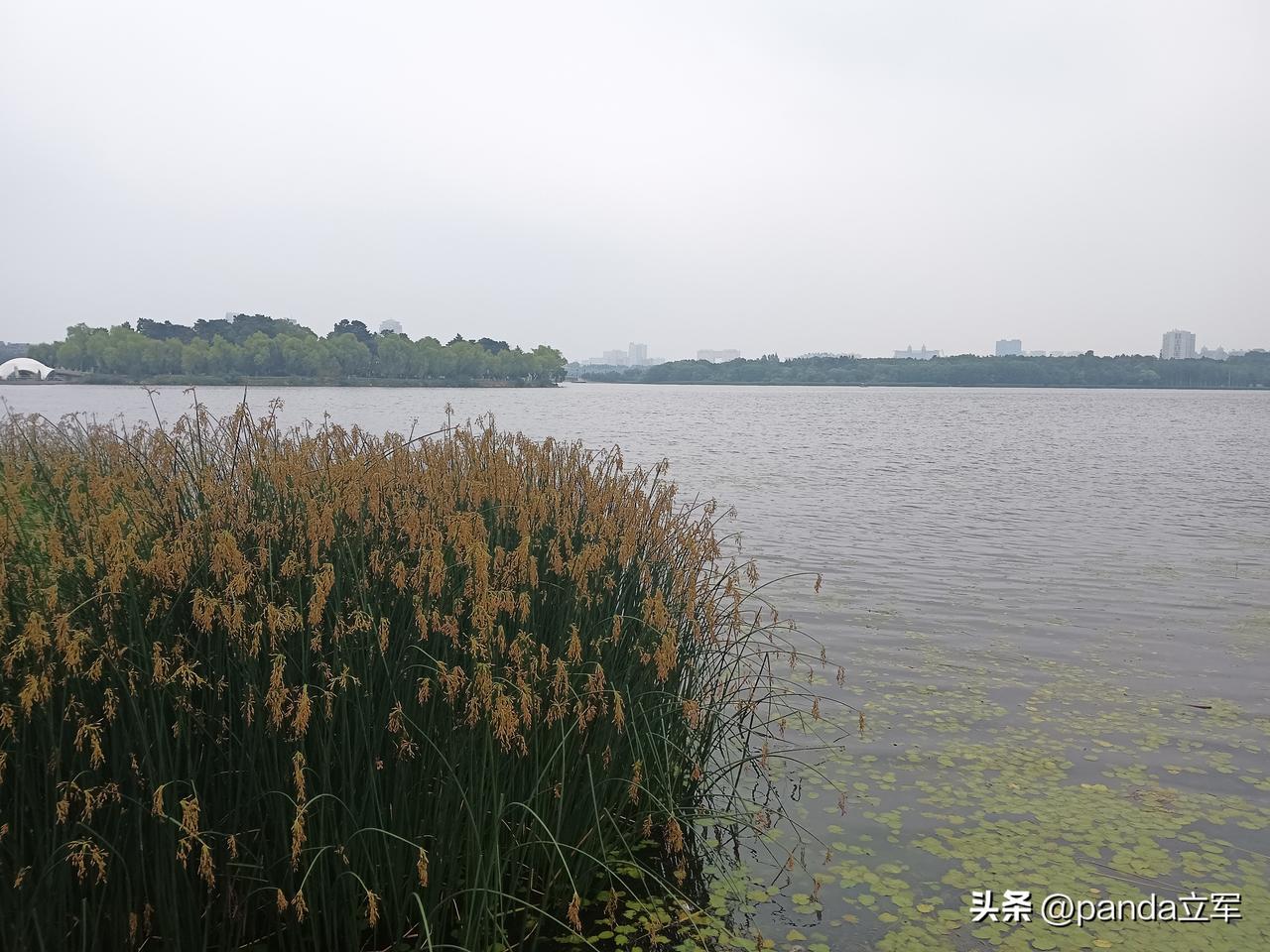 武警全力救援
还是我们大中国好，一方有难，八方支援，到处都有子弟兵的身影。
夏季