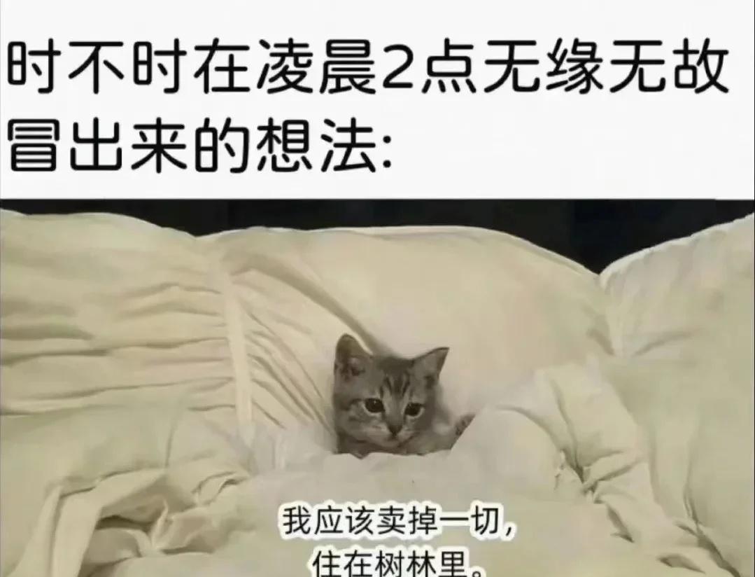 分享一些梗图 ​​​