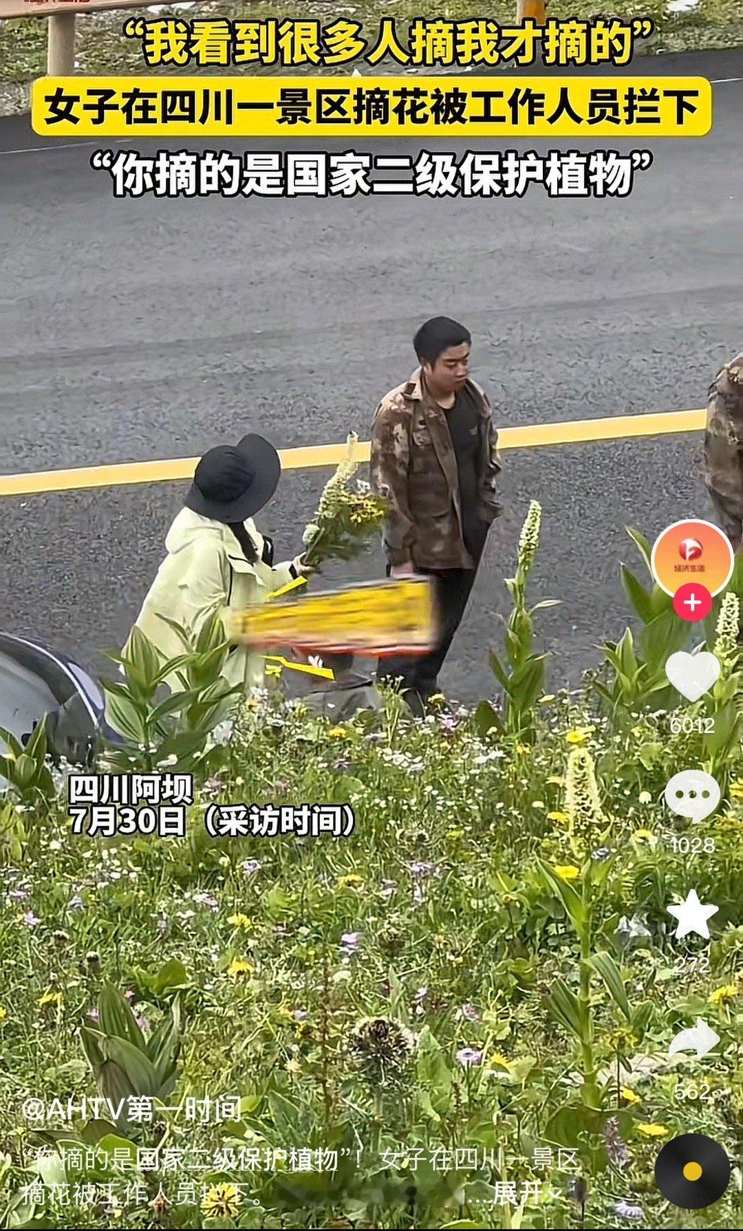 “保护花开的方式是让花盛开而不是去阻止” ​​​